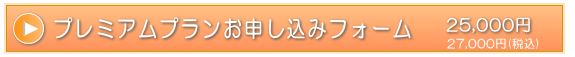 �v���~�A���v�������\����